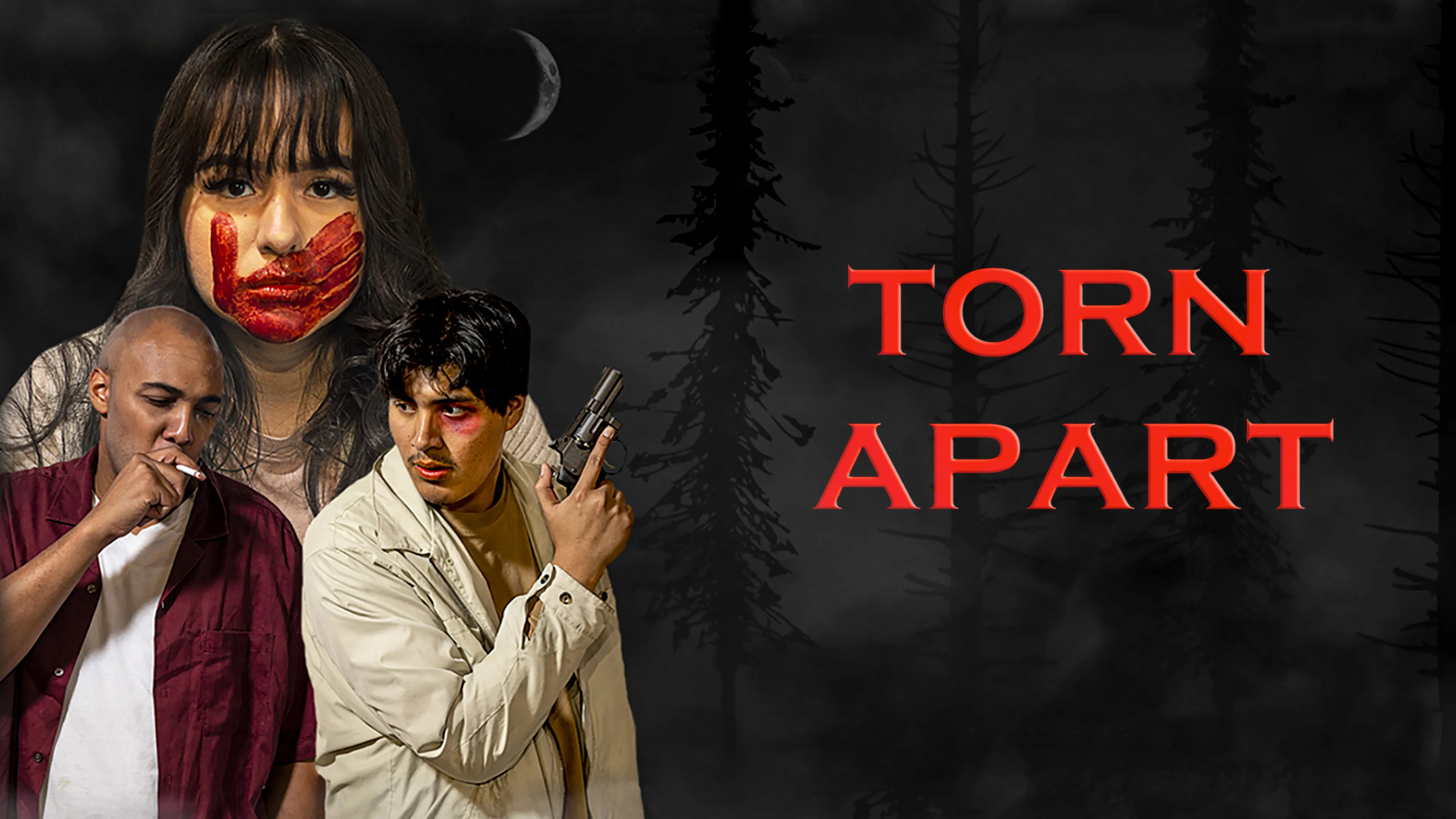 Torn Apart poster